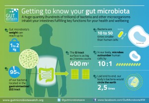 getting to know your gut microbiota